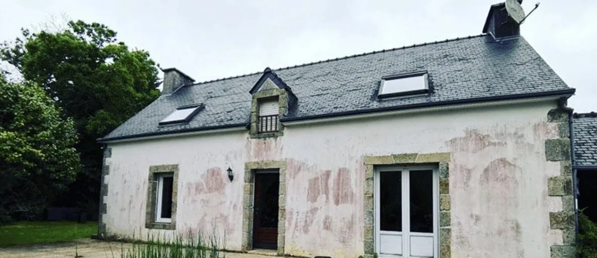 Avant : façade tachée et toiture encrassée